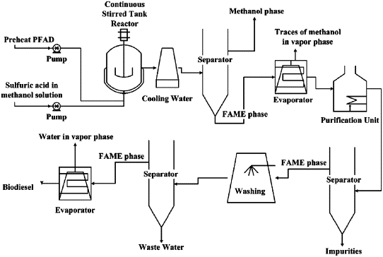 Esterification Process