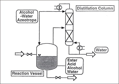 Esterification Process