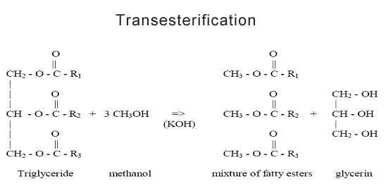 Esterification Process For Biodiesel