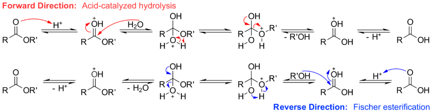 Esterification Reaction Equation