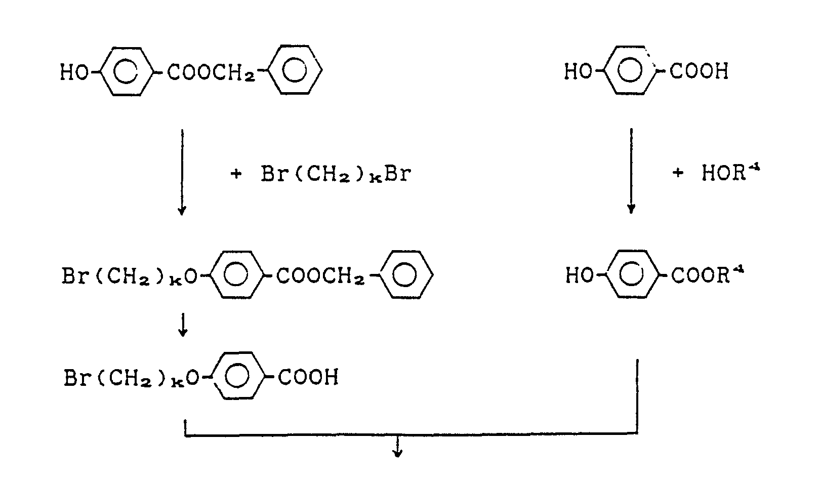 Esterification Reaction Equation