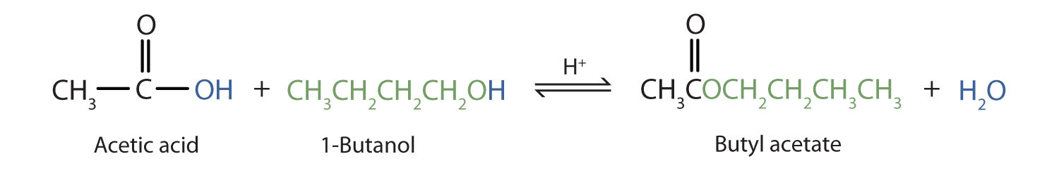 Esterification Reaction Equation