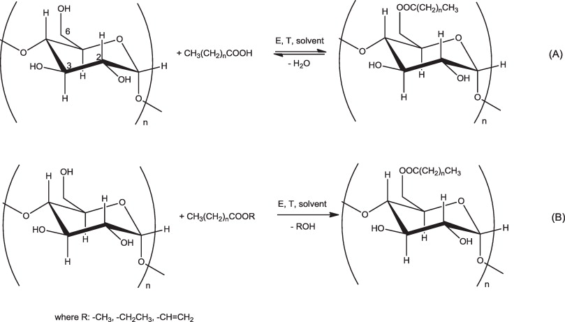 Esterification Reaction Example