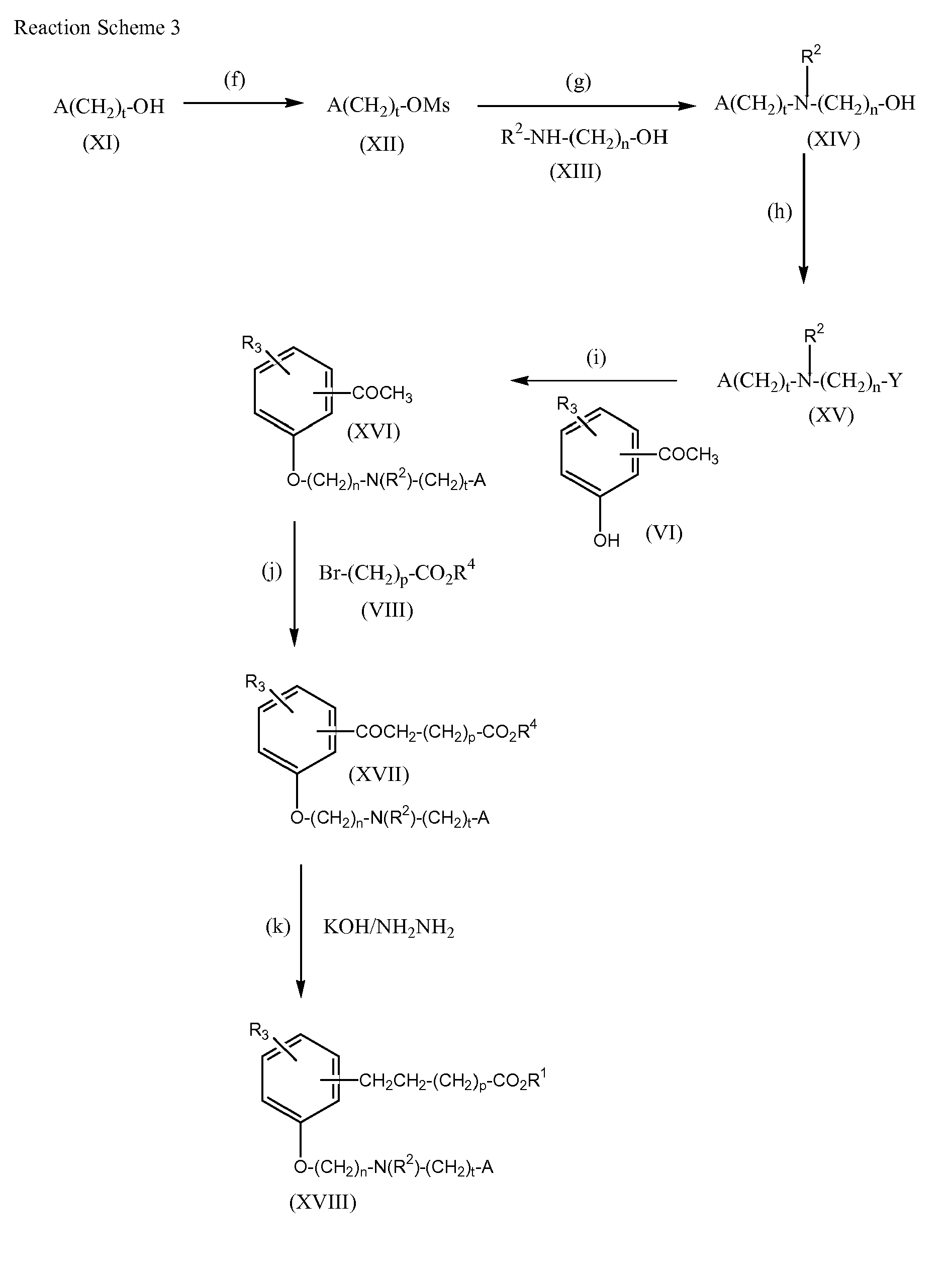 Esterification Reaction For Ethyl Benzoate