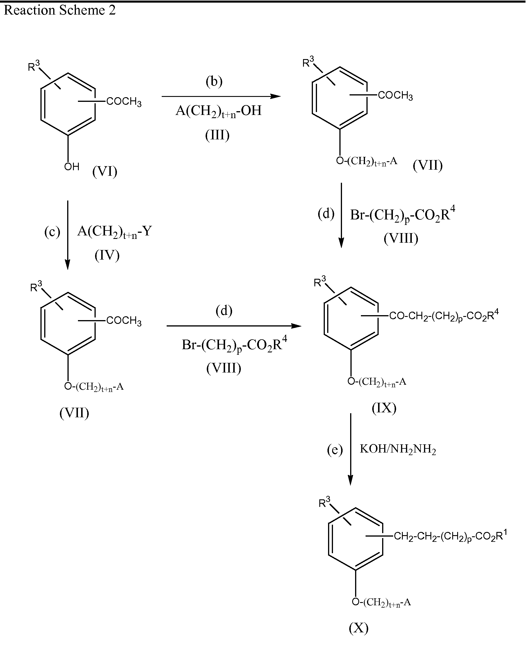 Esterification Reaction For Ethyl Benzoate