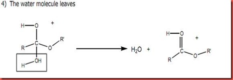 Esterification Reaction For Ethyl Benzoate