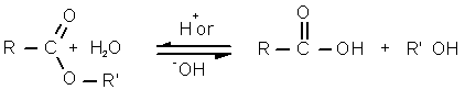 Esterification Reaction Lab