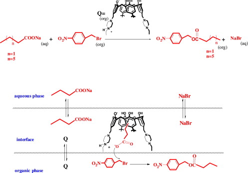 Esterification Reaction Lab