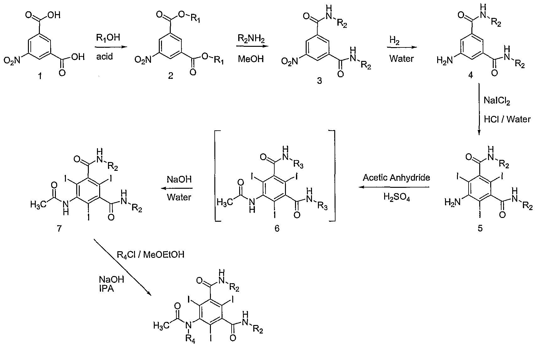 Esterification Reaction Lab