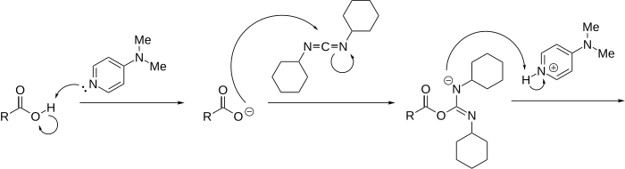 Esterification Reaction Mechanism