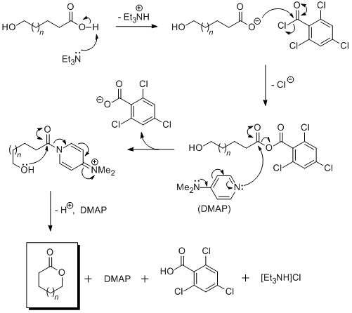 Esterification Reaction Mechanism