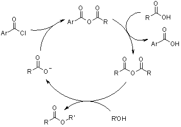 Esterification Reaction Mechanism