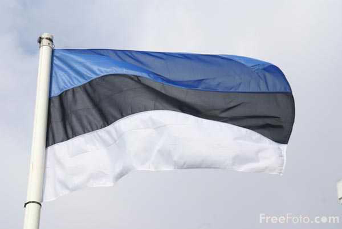 Estonia Flag