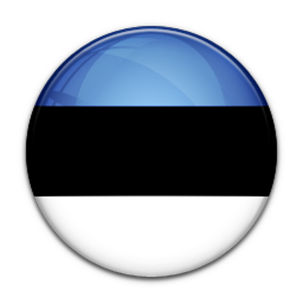 Estonia Flag