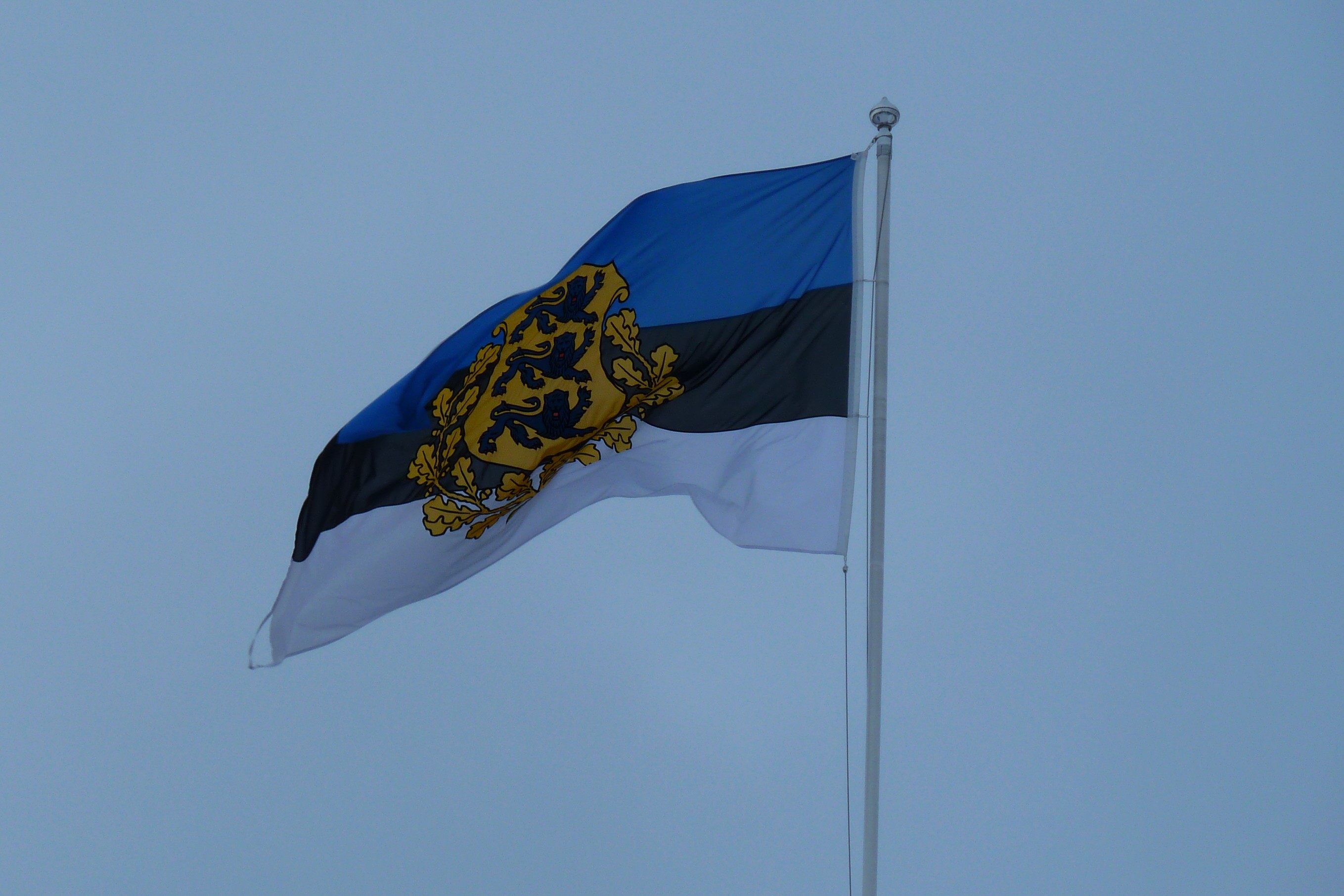 Estonia Flag Colors Meaning