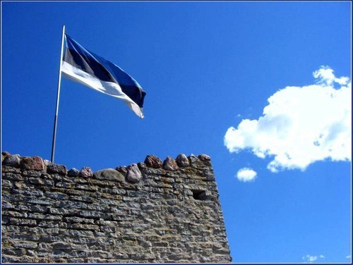 Estonia Flag Forest