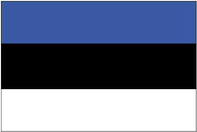 Estonia Flag I See What You Did