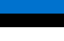 Estonia Flag I See What You Did