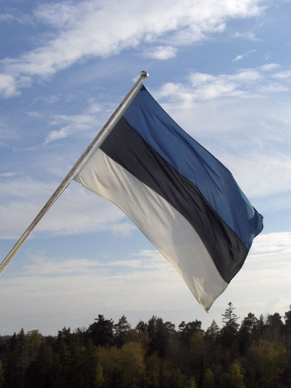 Estonia Flag I See What You Did