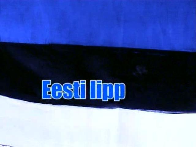 Estonia Flag I See What You Did