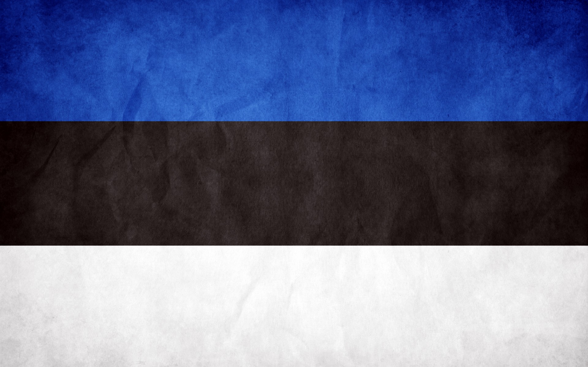 Estonia Flag I See What You Did