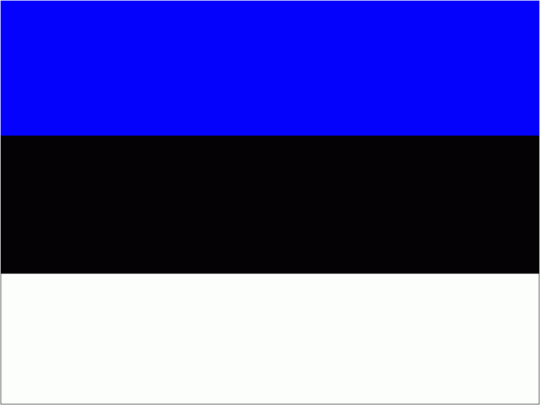 Estonia Flag Image