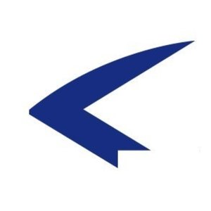 Estonian Air Logo