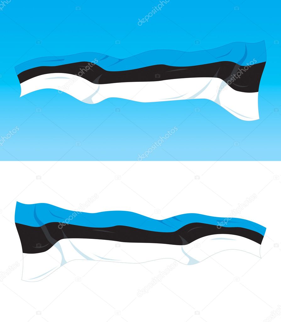 Estonian Flag