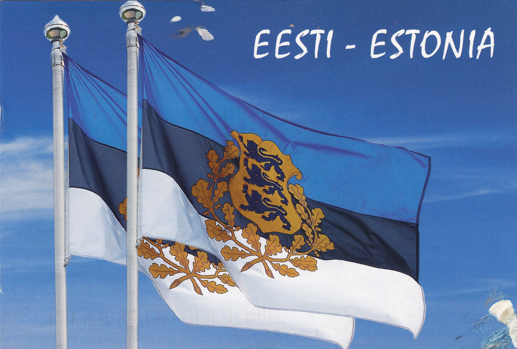 Estonian Flag