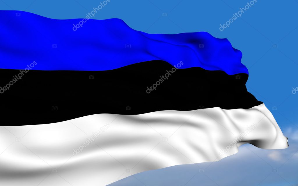 Estonian Flag