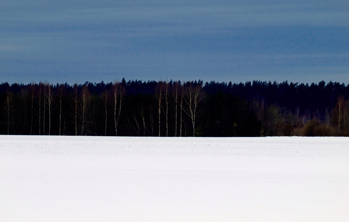 Estonian Flag Meaning