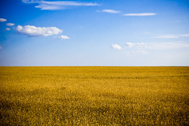 Estonian Flag Meaning