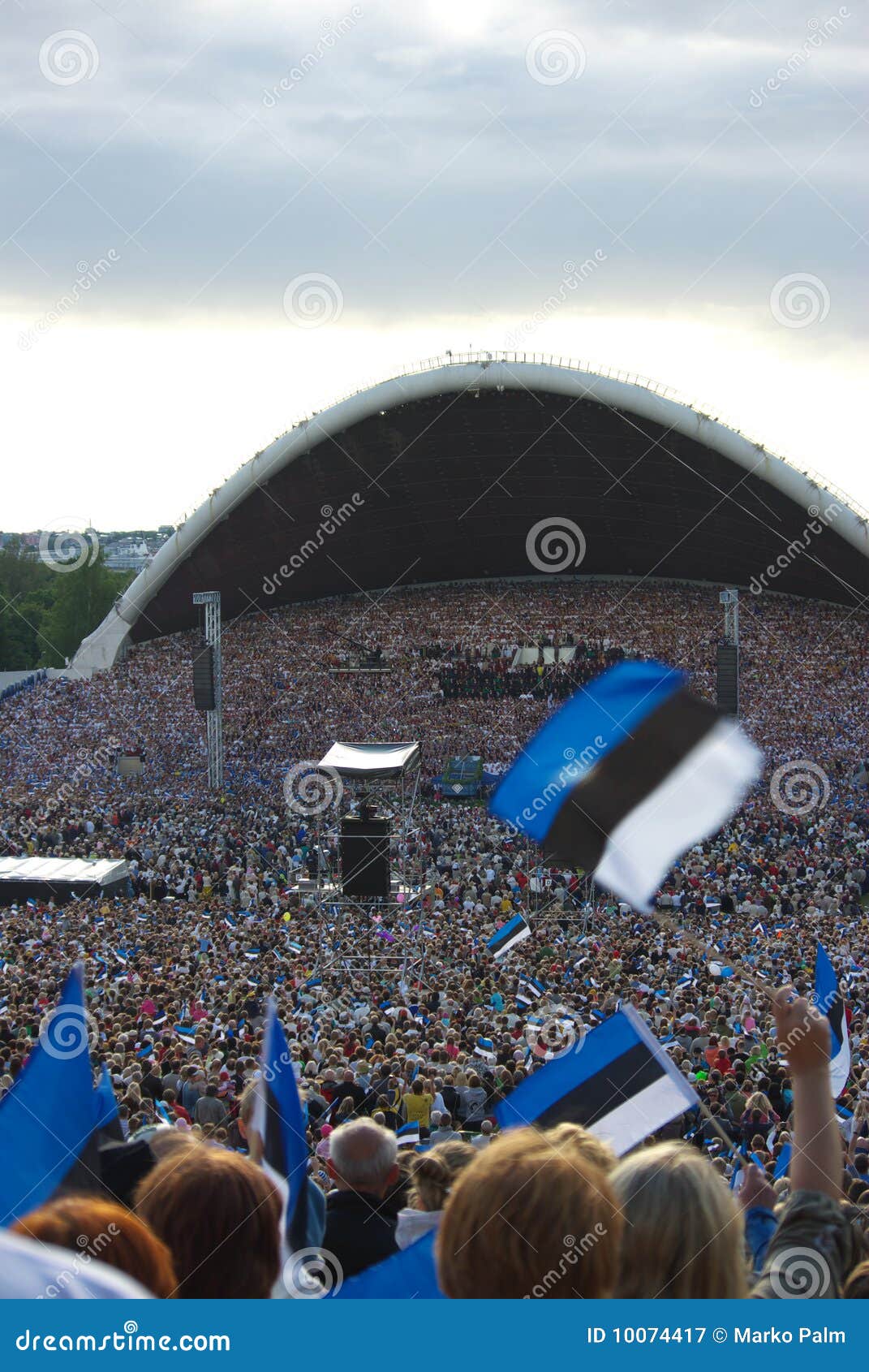 Estonian Flag Nature