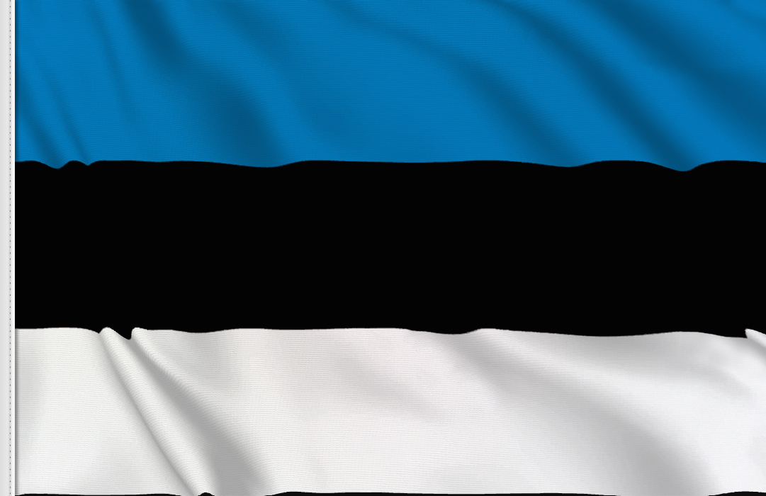 Estonian Flag Nature