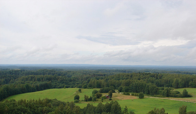 Estonian Landscape