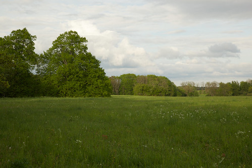 Estonian Landscape