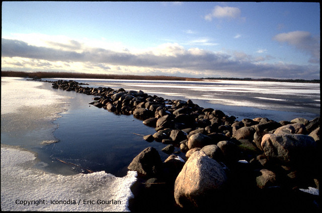 Estonian Landscape