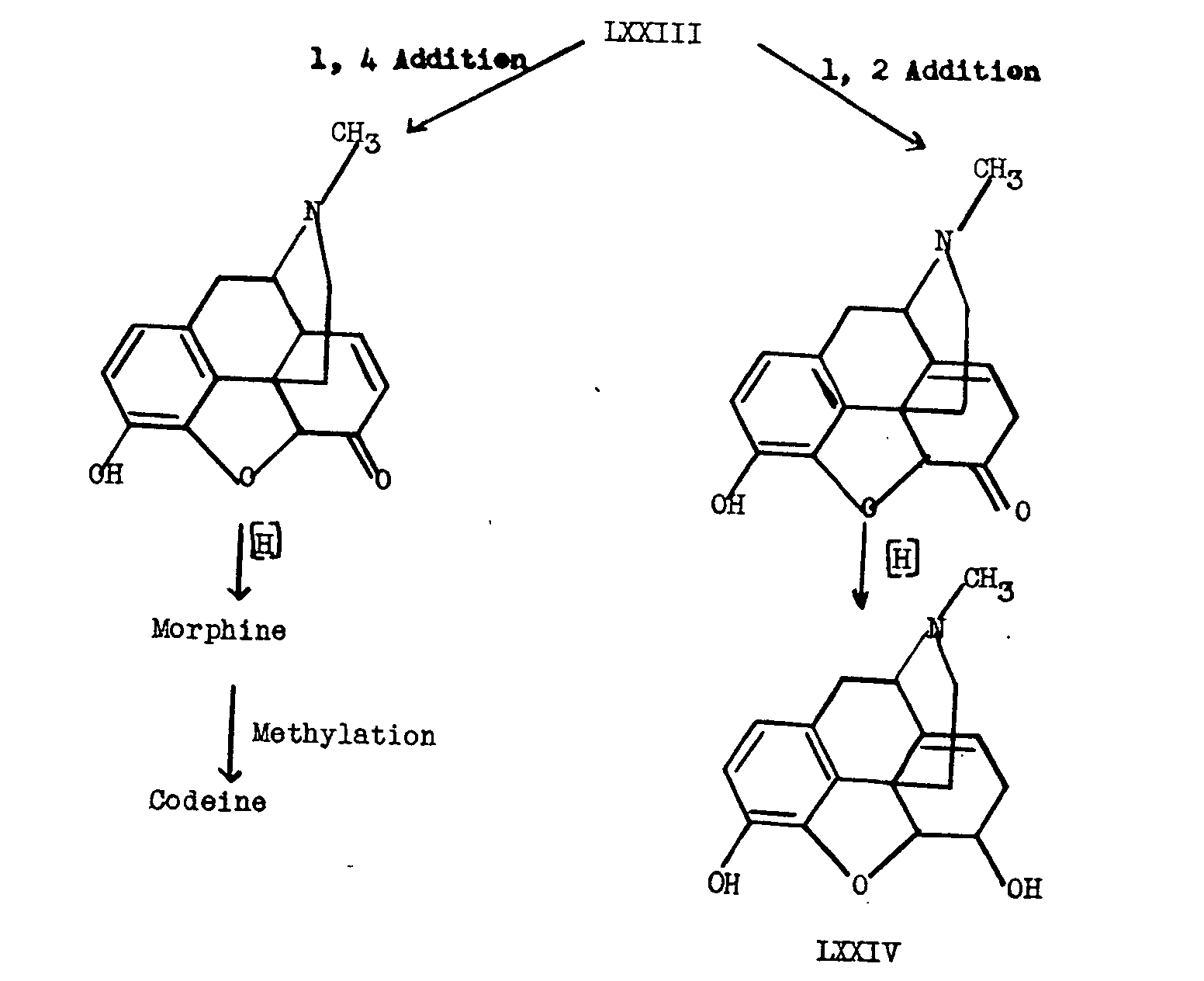 Examination Of The Fischer Esterification Mechanism Continues