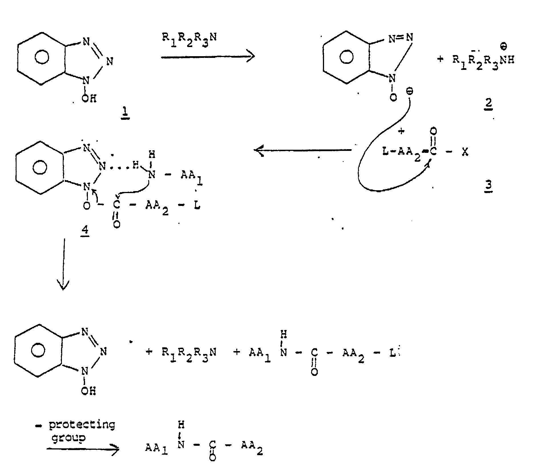 Examination Of The Fischer Esterification Mechanism Continues