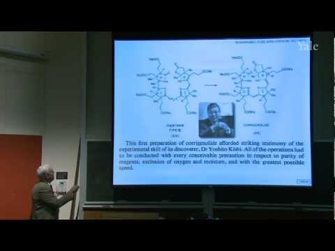 Examination Of The Fischer Esterification Mechanism Continues