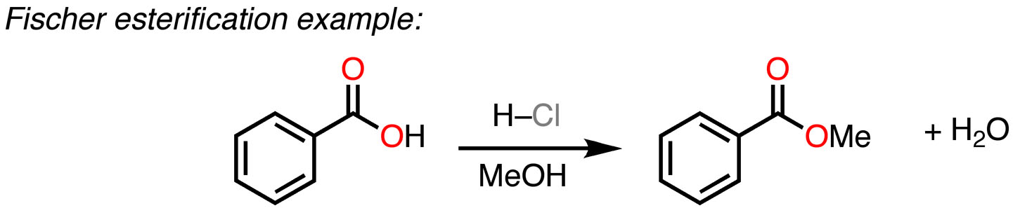 Examination Of The Fischer Esterification Mechanism Continues