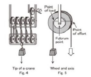 Examples Of Pulleys At School