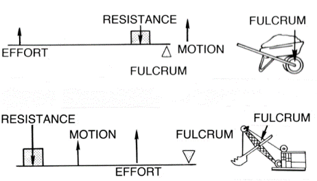 Examples Of Simple Machines For Kids