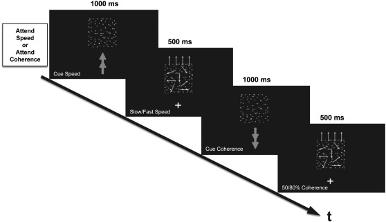 Experimental Design Diagram Template