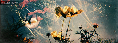 Facebook Covers Tumblr Flowers