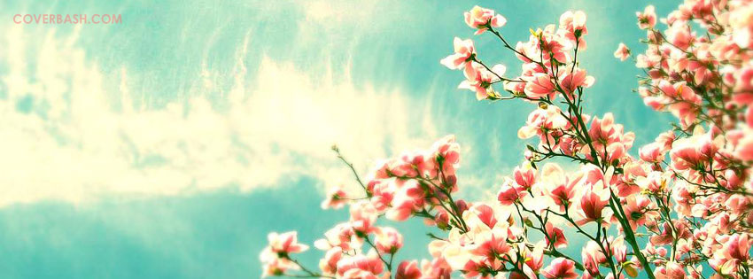 Facebook Covers Tumblr Flowers