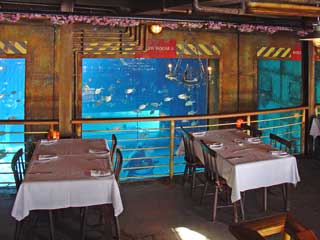 Facilities And Services Offered At Ushaka Marine World