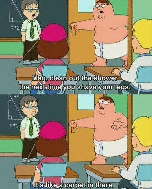 Family Guy Funny Quotes