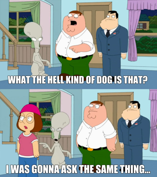 Family Guy Memes Funny