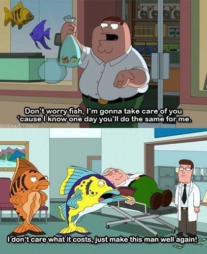 Family Guy Quotes Peter